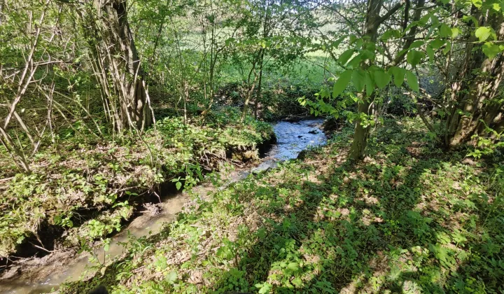 Działka rolna Tyrawa Solna