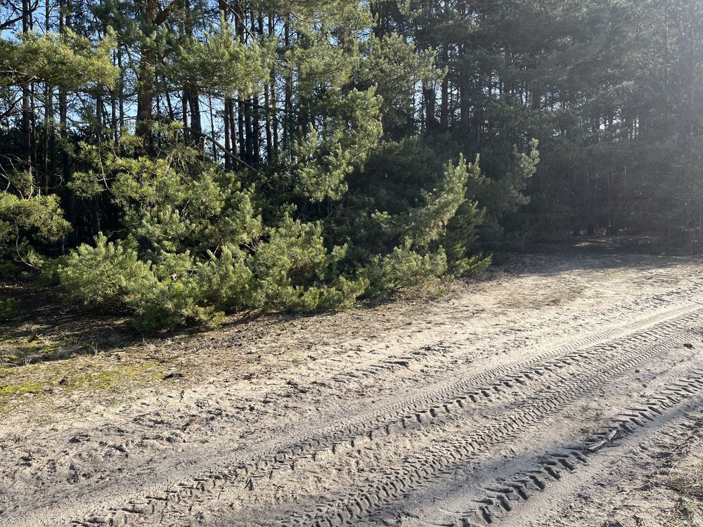 Działka inna Cychrowska Wola. Zdjęcie 7