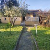 Działka rod Żurczyn. Zdjęcie 2