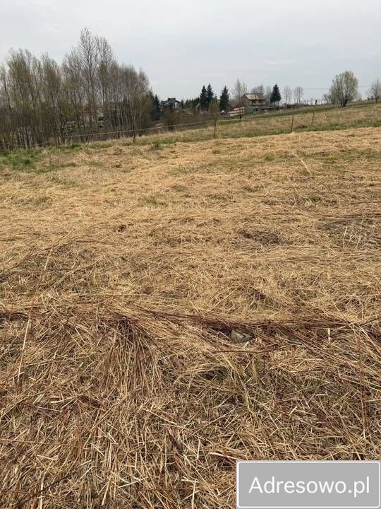 Działka rolna Malawa. Zdjęcie 6
