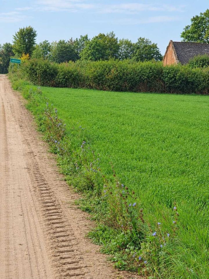 Działka rolna Jabłonna. Zdjęcie 2