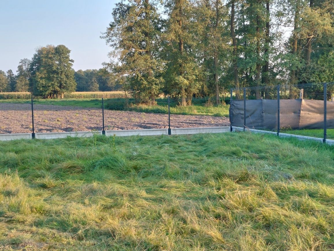 Działka budowlana Osiek nad Wisłą, ul. Wiśniowa. Zdjęcie 5