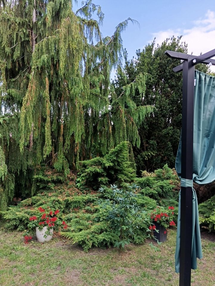 siedlisko, 4 pokoje Dukaczew. Zdjęcie 6