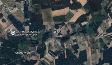 Działka leśna Halinin