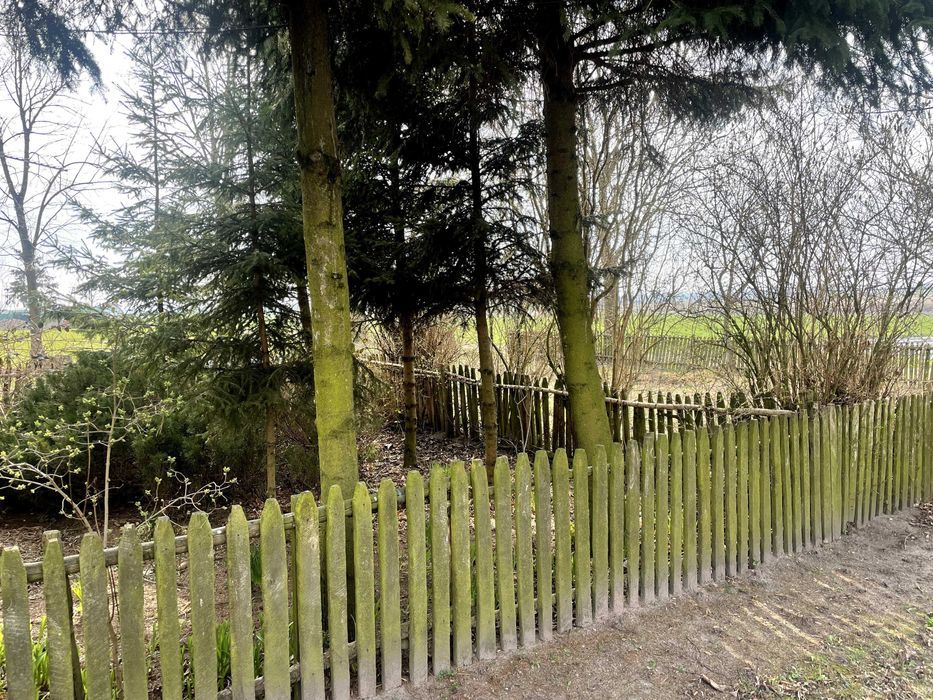 Działka siedliskowa Zaborowo. Zdjęcie 5