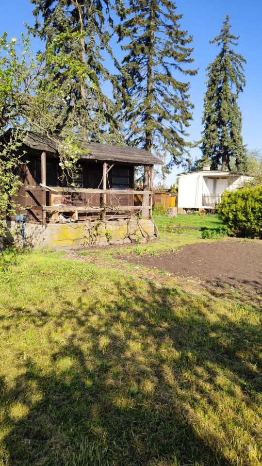 Działka rod Gostyń. Zdjęcie 3