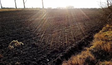 Działka budowlana Turów