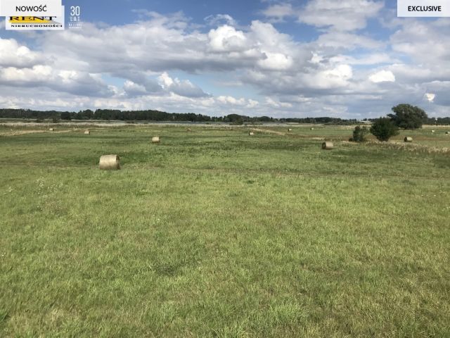 Działka budowlana Załęże. Zdjęcie 8