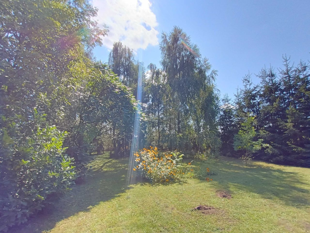 Działka rolno-budowlana Horodło, ul. Królowej Jadwigi. Zdjęcie 2