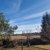 Działka rod Szczecin Dąbie. Zdjęcie 2