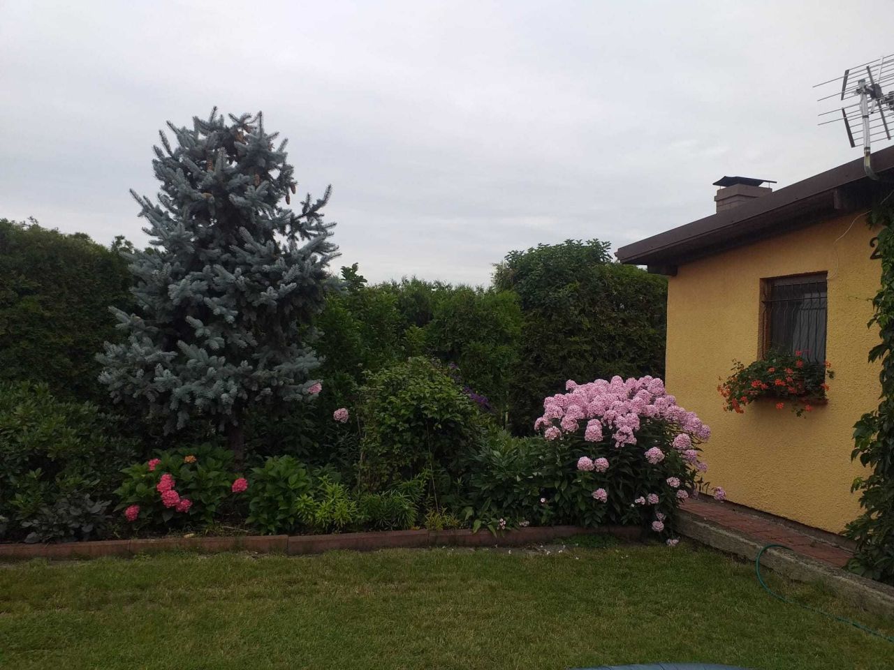 Działka rod Prądocin. Zdjęcie 8