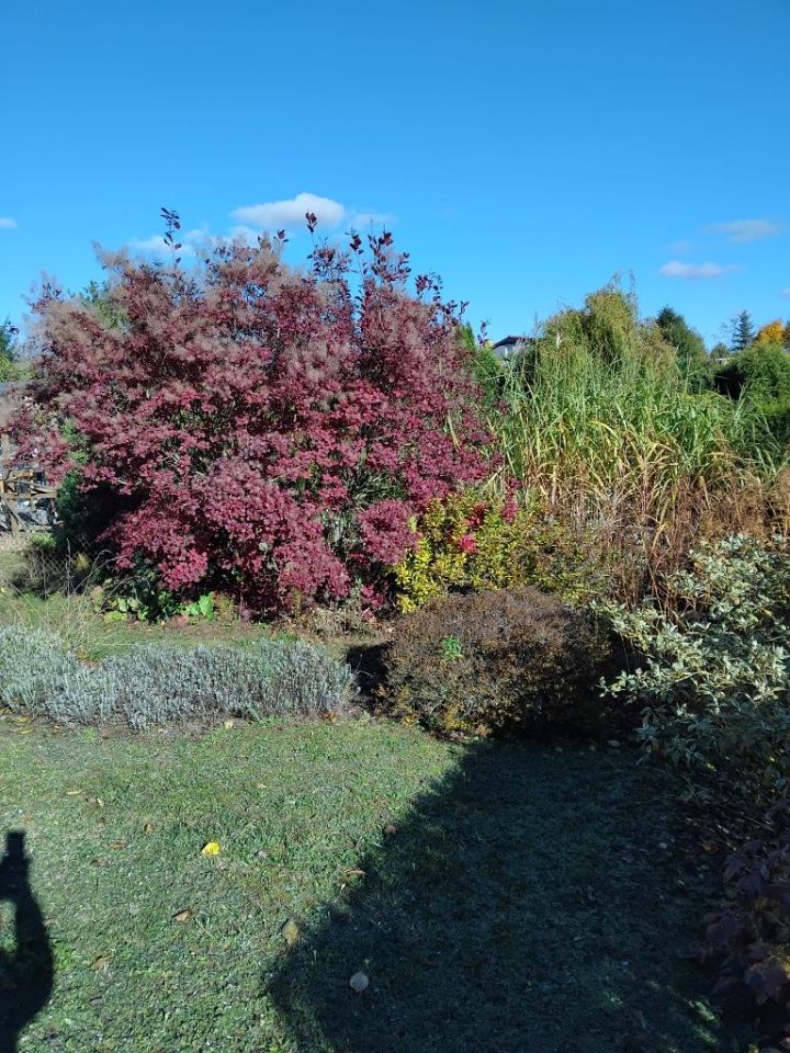 Działka rod Gniezno. Zdjęcie 8