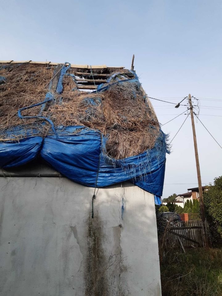 Działka Kotwasice. Zdjęcie 5