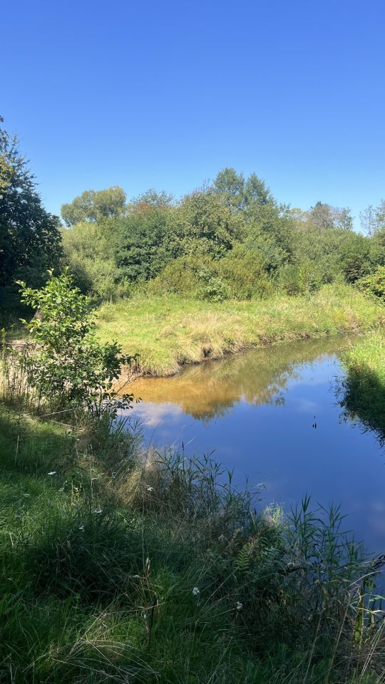 Działka rekreacyjna Jamborek, Jałowcowa. Zdjęcie 6