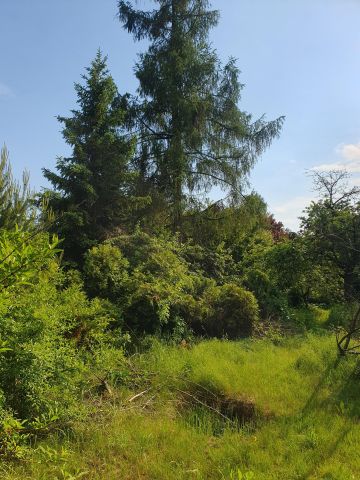 Działka budowlana Zabrze Mikulczyce, ul. Leśna. Zdjęcie 1
