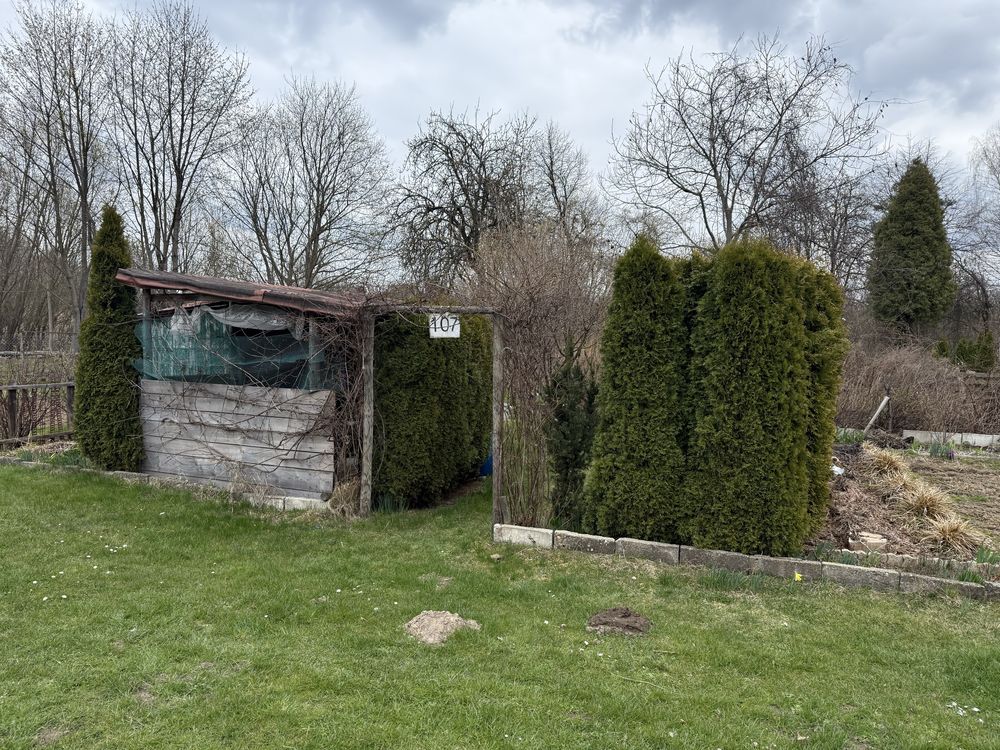 Działka rod Przysucha. Zdjęcie 8