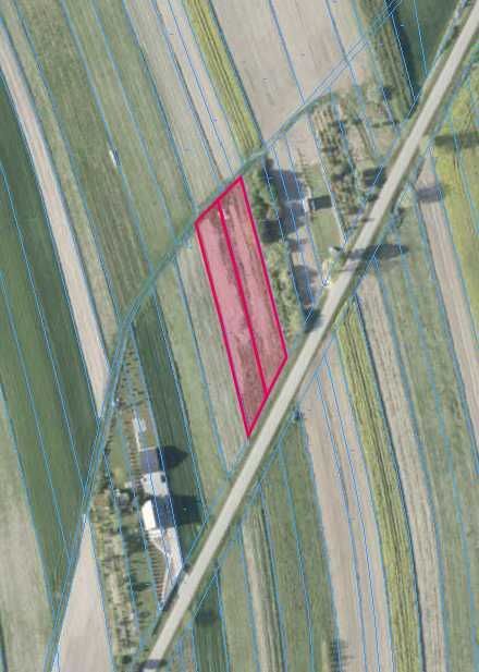 Działka budowlana Lipsko, ul. Obrońców Chotczy. Zdjęcie 2