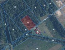 Działka rolno-budowlana Babsk. Zdjęcie 3