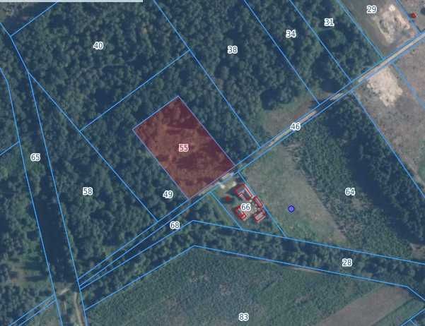 Działka rolno-budowlana Babsk. Zdjęcie 4