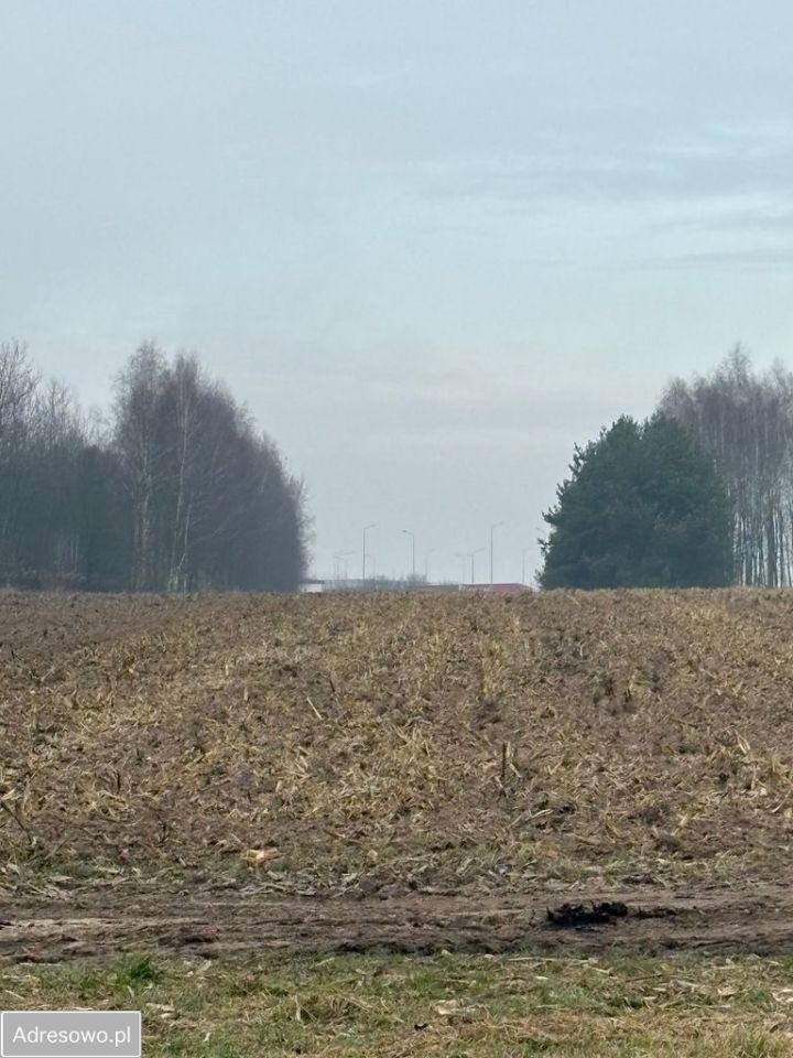 Działka rolna Jędrzejów Nowy. Zdjęcie 4