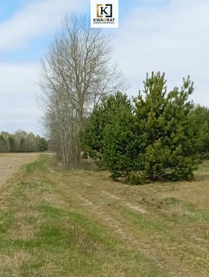 Działka Wólka Mlęcka. Zdjęcie 1