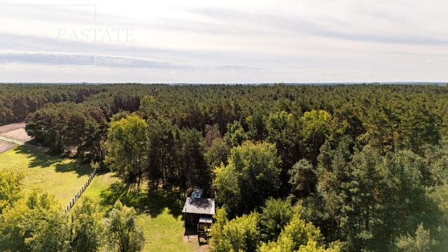 Działka leśna Maurzyce. Zdjęcie 3