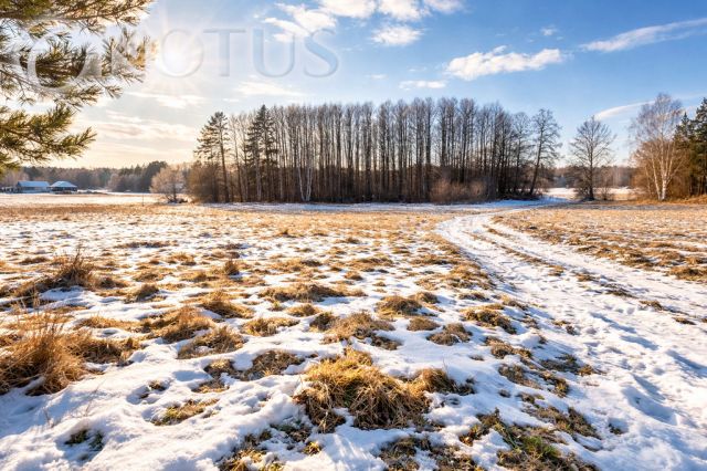 Działka budowlana Cegielnik. Zdjęcie 2