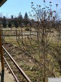 Działka rod Uniszowice. Zdjęcie 4