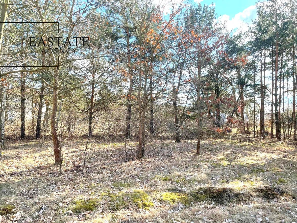 Działka inwestycyjna Józefów, ul. Owsiana. Zdjęcie 13