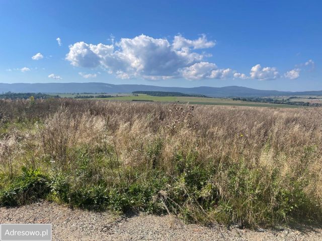 Działka budowlana Stary Wielisław. Zdjęcie 1