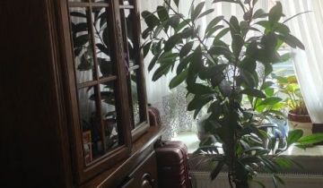 Mieszkanie 3-pokojowe Legnica, ul. Rzemieślnicza