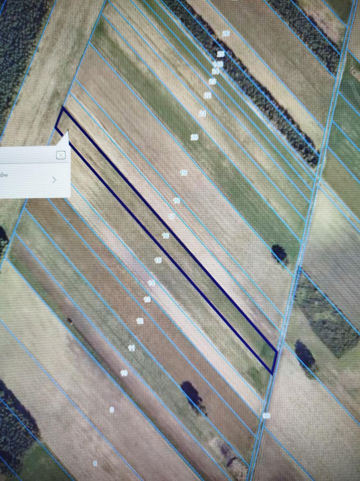 Działka rolna Osiek Mały-Kolonia, .. Zdjęcie 2