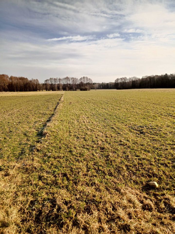 Działka budowlana Michałówka. Zdjęcie 3