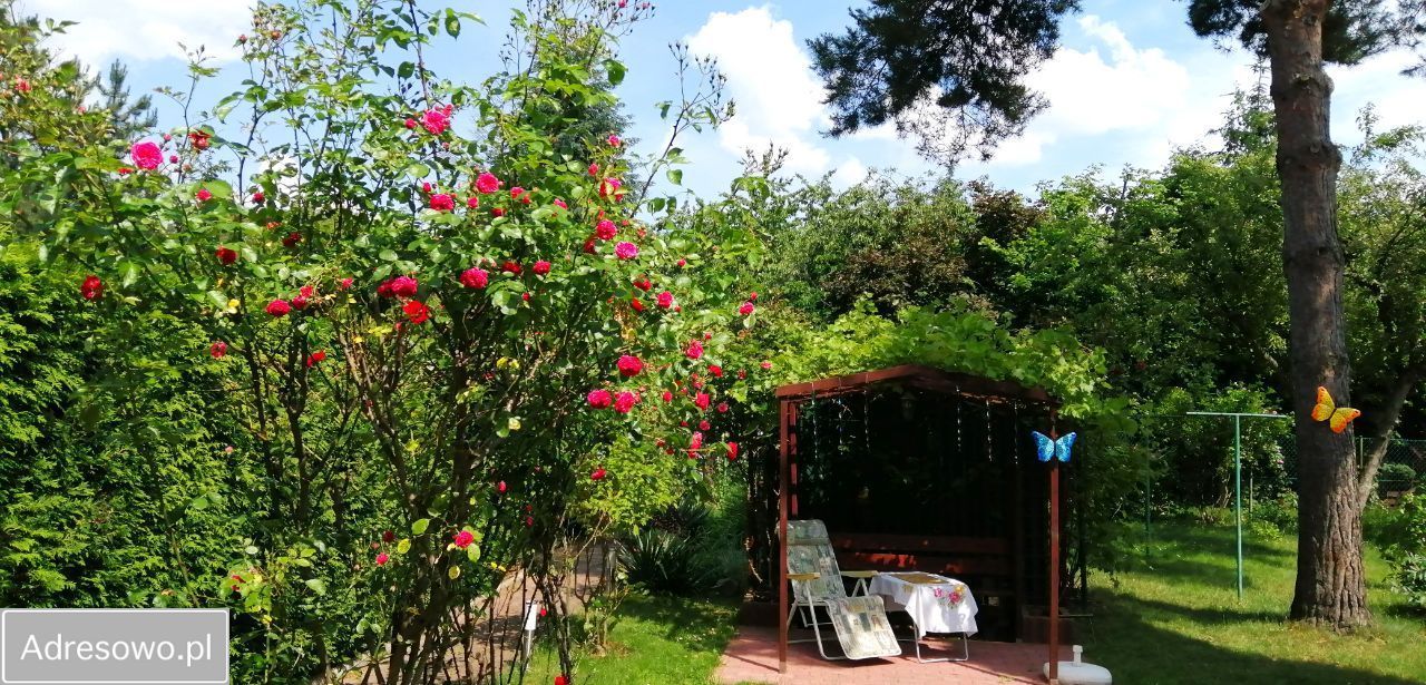 dom szeregowy, 5 pokoi Wrocław Sępolno, ul. Bartosza Głowackiego. Zdjęcie 7