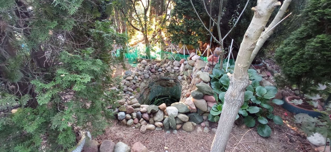 Działka rod Ozorków. Zdjęcie 8