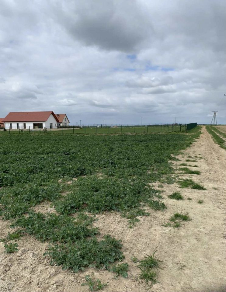 Działka budowlana Gościsław. Zdjęcie 4