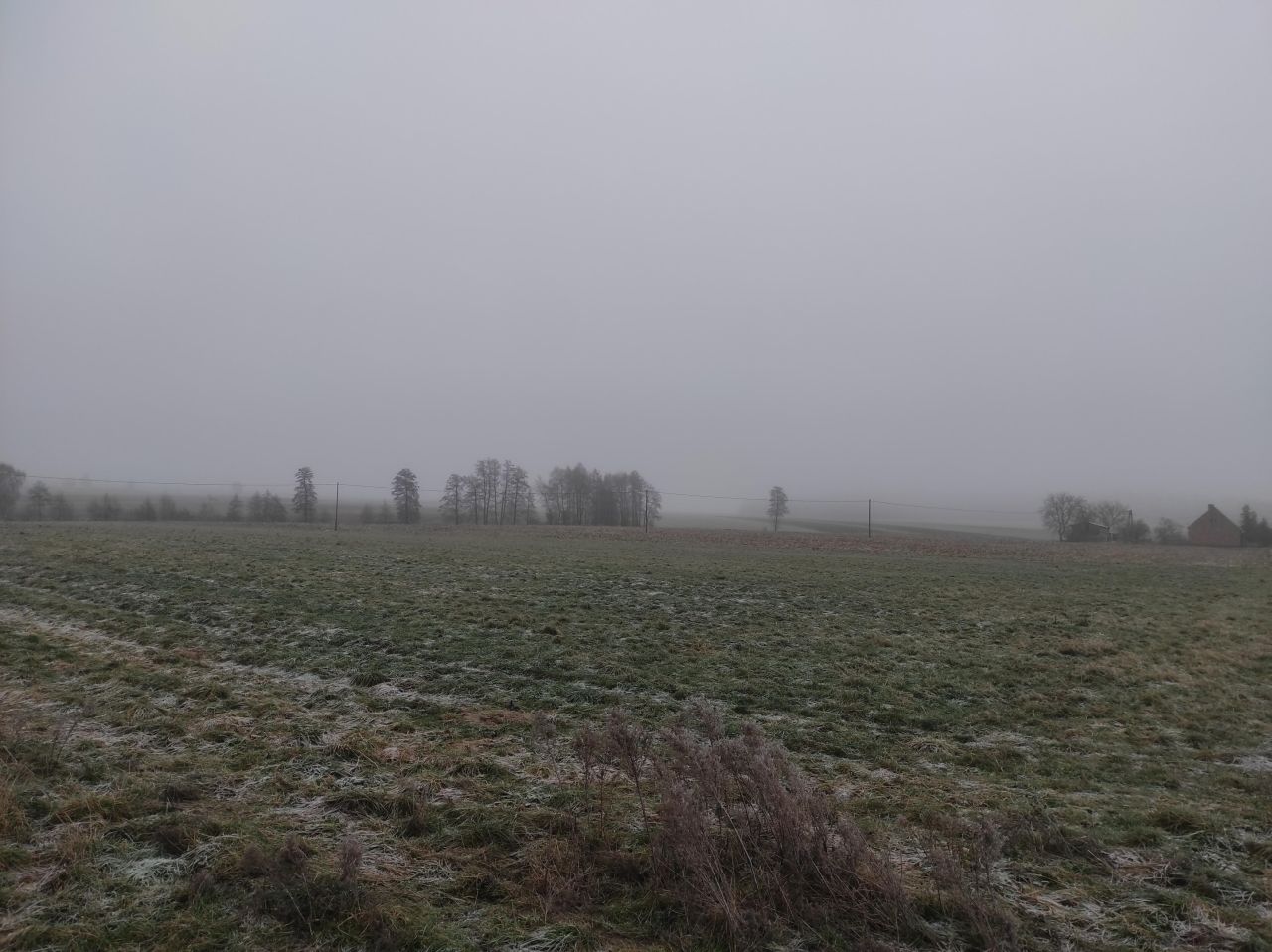 Działka rolno-budowlana Bieździadów. Zdjęcie 2