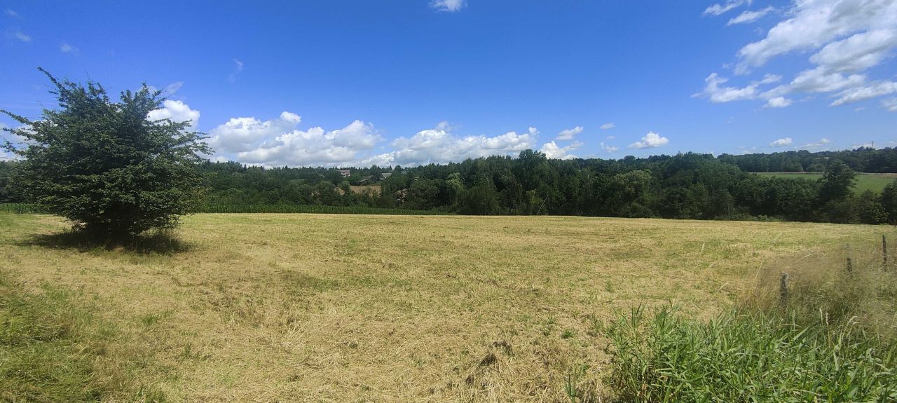 Działka rolno-budowlana Lubomierz. Zdjęcie 2