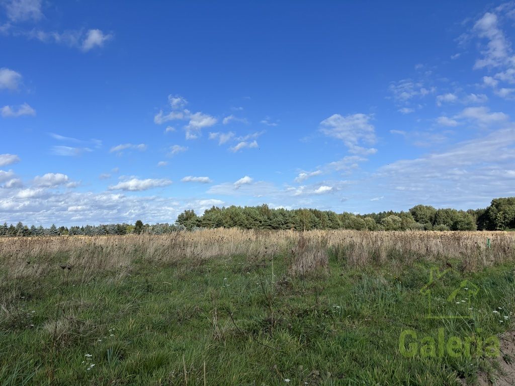 Działka Długołęka Radłowo. Zdjęcie 4