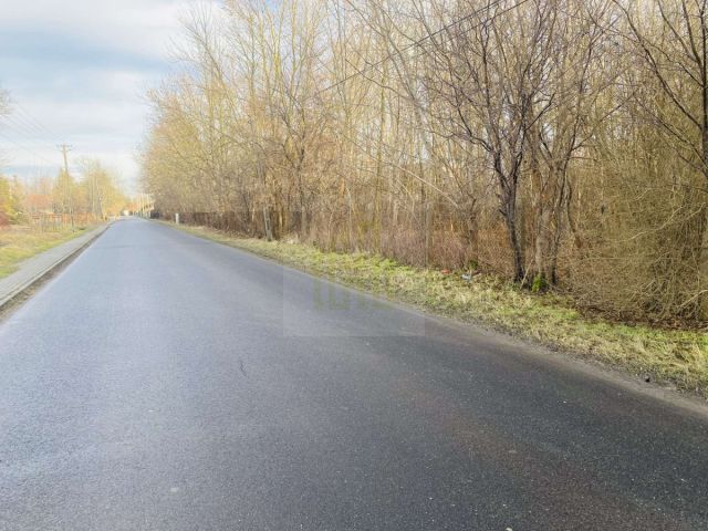 Działka inwestycyjna Dębówka. Zdjęcie 11