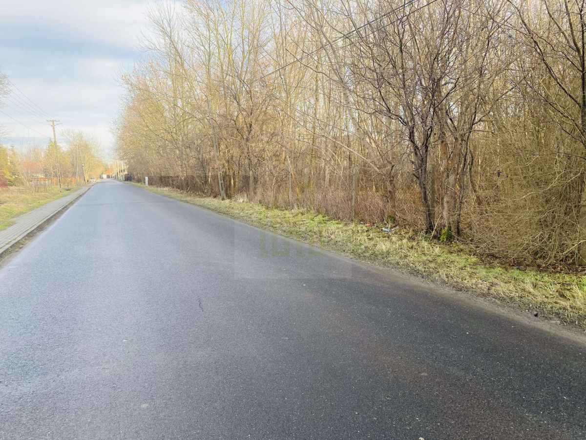 Działka inwestycyjna Dębówka. Zdjęcie 11