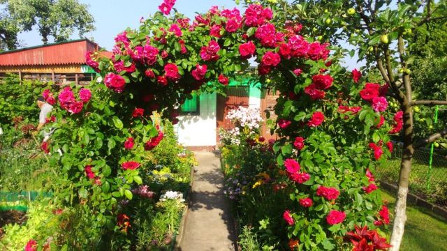 Działka rod Warszawa Paluch. Zdjęcie 1