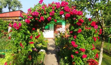 Działka rod Warszawa Paluch