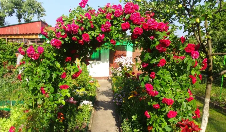 Działka rod Warszawa Paluch