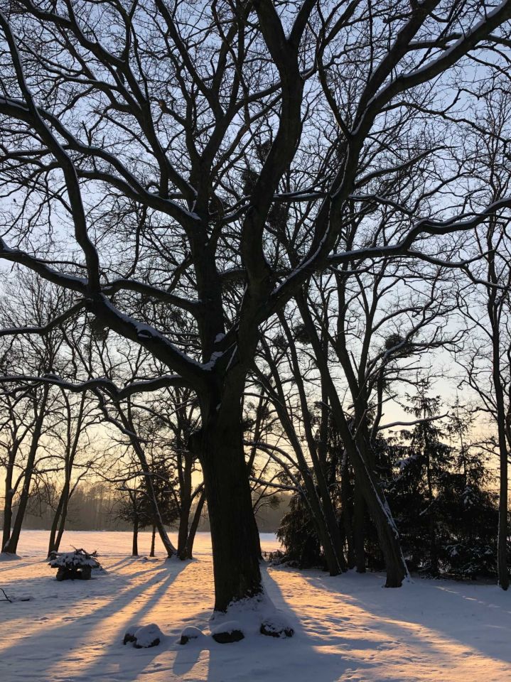 Działka budowlana Stajenczynki Dominikowo. Zdjęcie 2