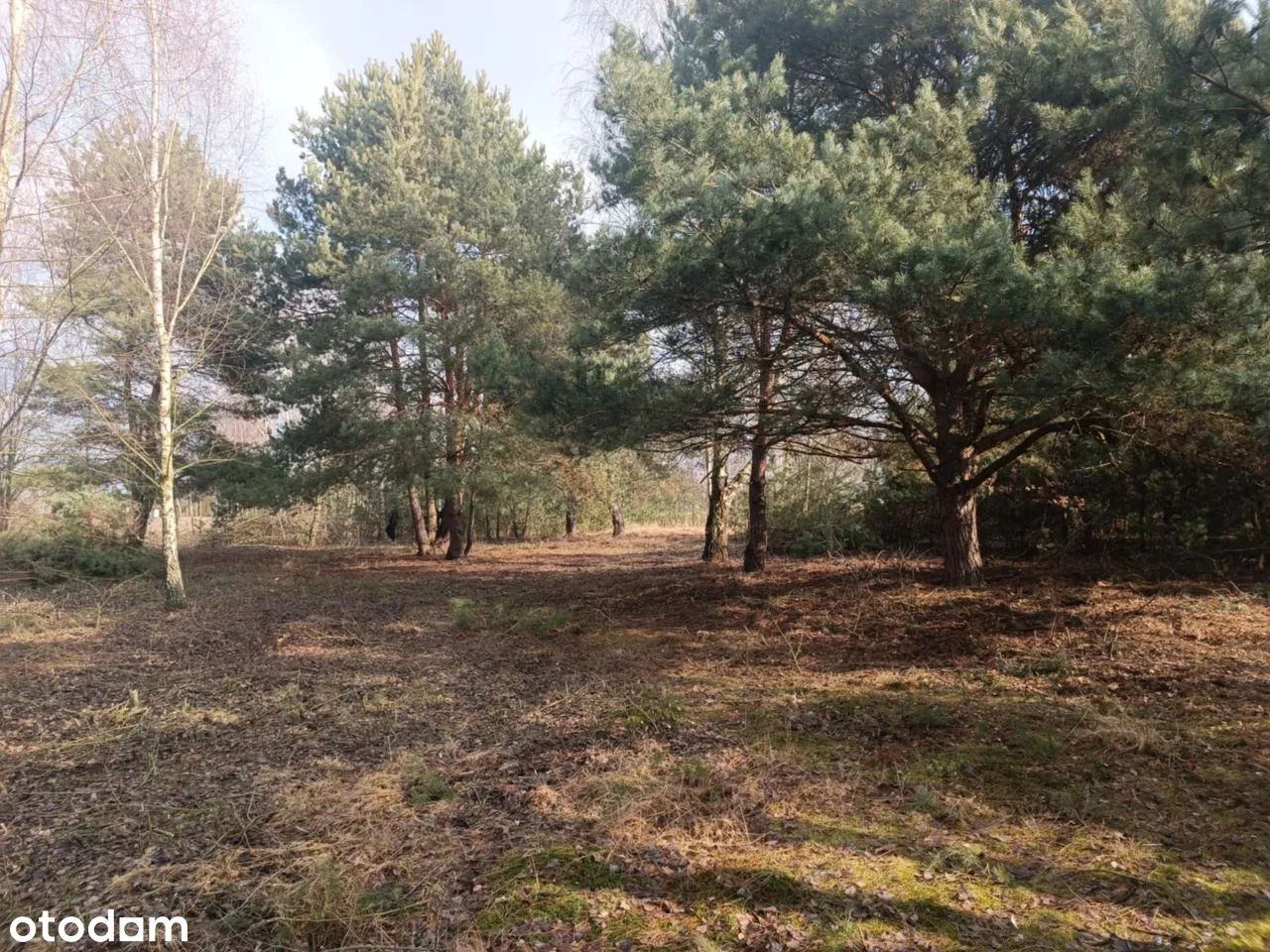 Działka budowlana Łuszczów Pierwszy. Zdjęcie 7