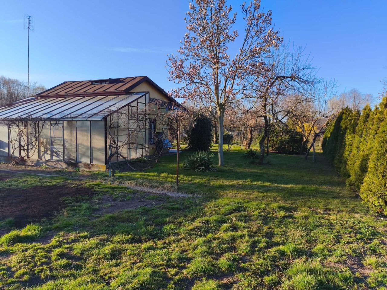 Działka rod Gorczyn. Zdjęcie 2