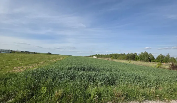 Działka budowlana Micigózd, ul. Kolonia
