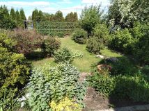 Działka rod Białystok Centrum. Zdjęcie 4