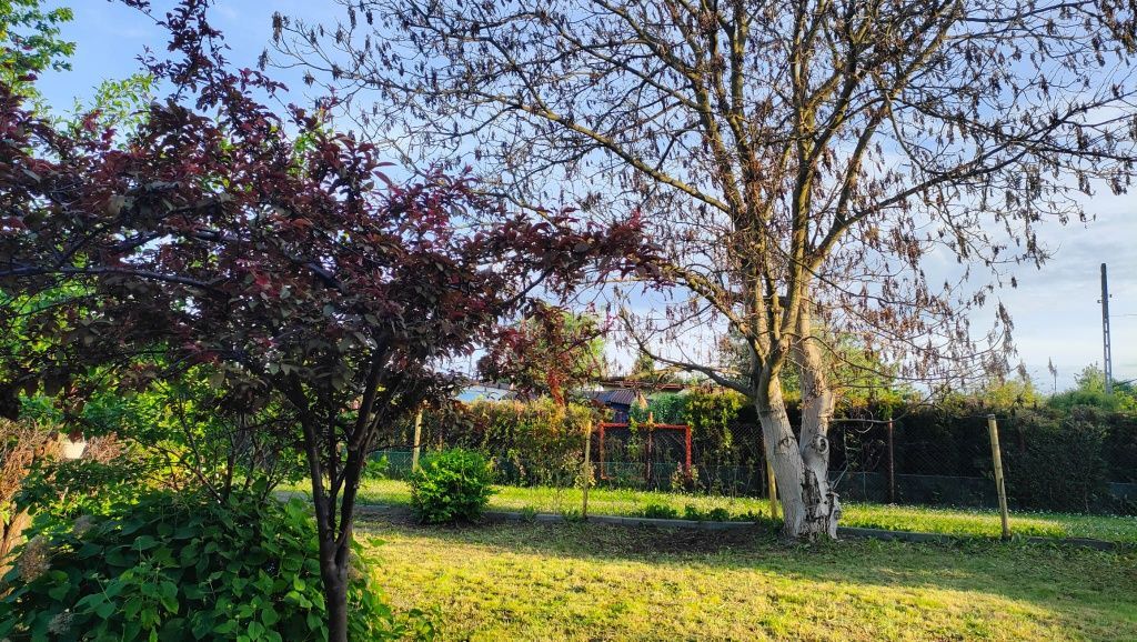 Działka rod Chorzów Maciejkowice. Zdjęcie 3